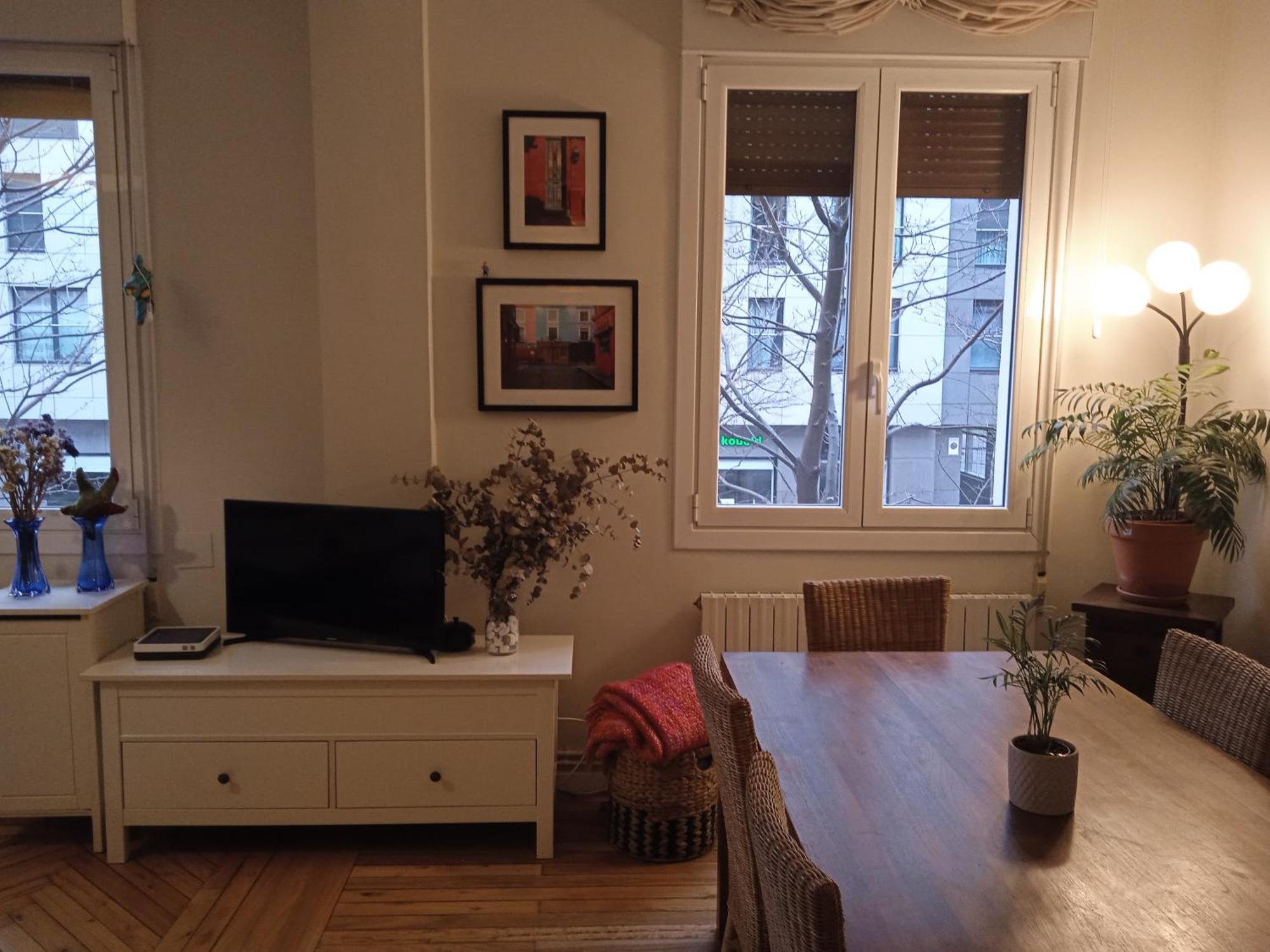 Apartamento Guggenheim Centrico Y Confortable Bilbao Ngoại thất bức ảnh